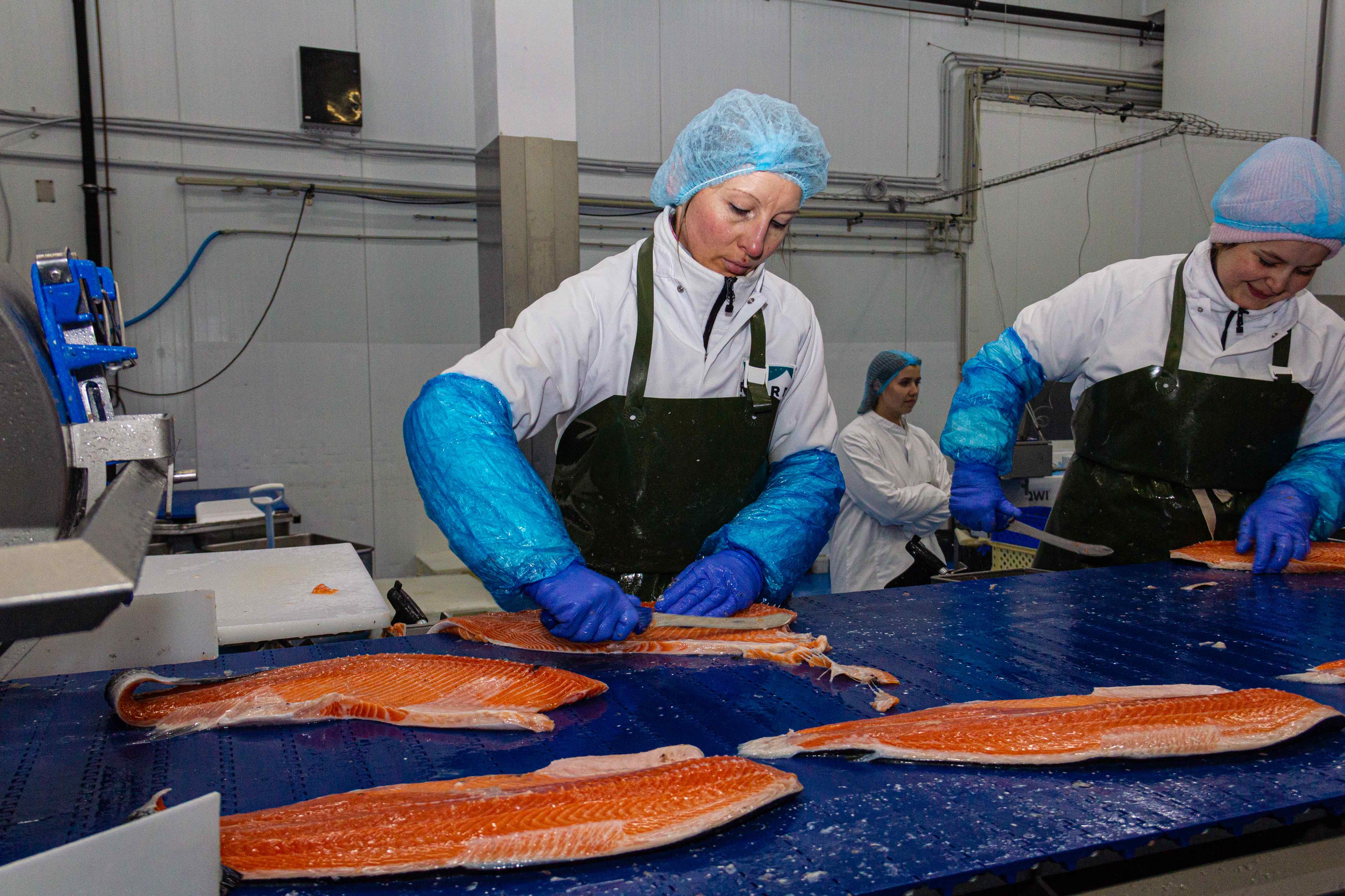 Fjord Bohemia zásobuje Čechy kvalitními mořskými rybami z celého světa